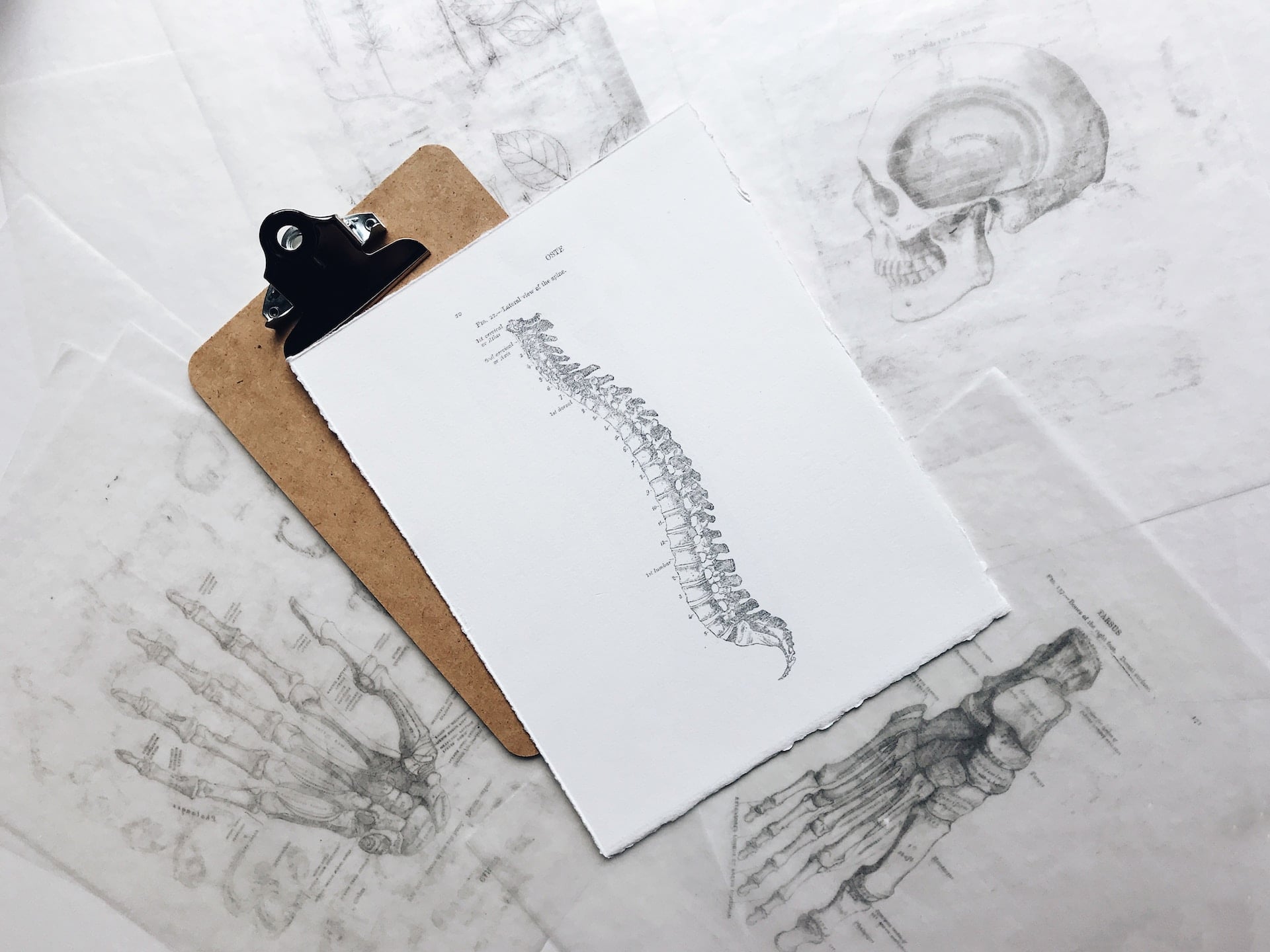 Best Physical Therapy Certificates to Advance Your Career
