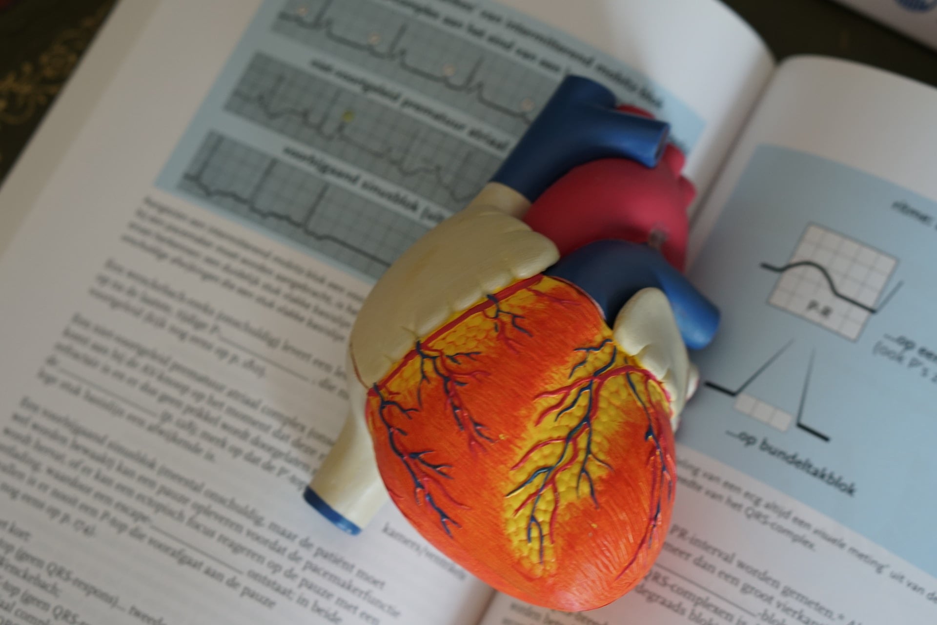 9 Key Lessons They Don't Teach You in Physical Therapy Schooling